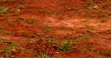 Terreno com 250m² em Lobato/PR