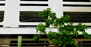 Lojas Comerciais com 11 Vagas em Vila Isabel, Rio de Janeiro