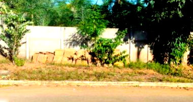 Terreno com 645m² em Itapirapuã/GO