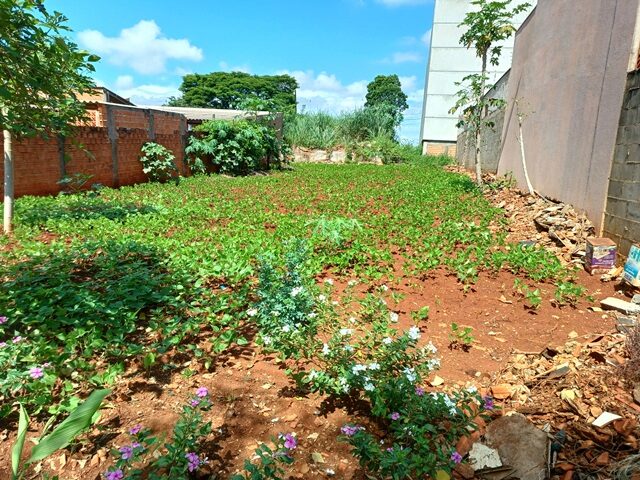 Terreno de 250 m² no Parque Universidade, Londrina/PR