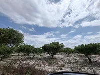 Terreno de 6.600m² em Tiririca - Pacajus/CE - Leilão Extrajudicial