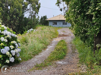 Terreno com casa de 240m² em São Joaquim/SC - Oportunidade única!