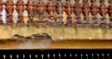 Casa Ocupada na Vila Dalva em São Paulo/SP com 94m² de Área Construída