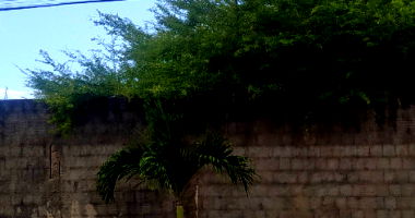 Terreno Amplo em Fortaleza com Muro Frontal