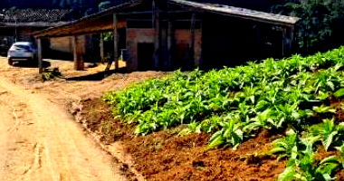 Terreno Rural com 50.000m² em Orleans/SC