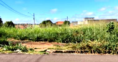 Terreno em Jardim Ilha do Sol com 330 m² - Desocupado