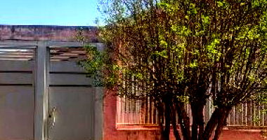 Casa com 3 quartos em Pederneiras/SP