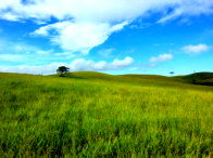 Fazenda com 477,46 hectares em Prudentópolis/PR
