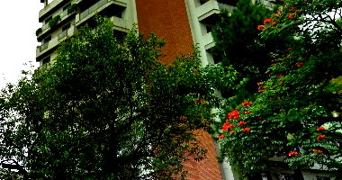 Apartamento duplex com 245,88m², 3 vagas, ocupado