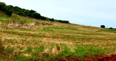 Fração de Terras Rurais com 129.900,00m²