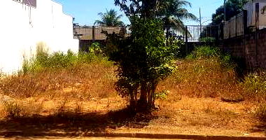 Casa ocupada com 316m² construída e terreno de 588m²
