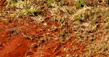 Terreno de 326,22m² no Jardim Água da Aliança, vago e com infraestrutura