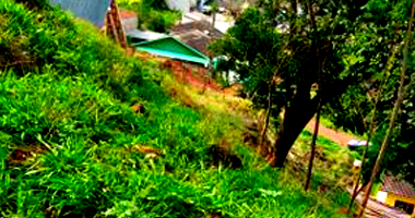 Espaçoso Terreno de 1000m² com Área Total, Ocupado