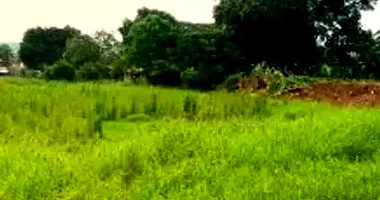 Terrenos Amplos em Leilão - Centro - Tupãssi/PR