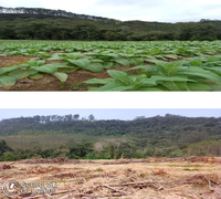 Terreno Rural com Edificação em Vitor Meireles/SC