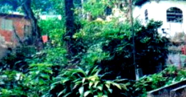 Terreno em Parque Prainha - São Vicente - Oportunidade Única!