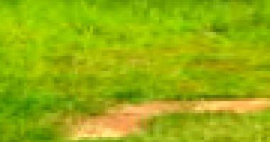 Fração de Terras em Bauru/SP com Rancho e Casa