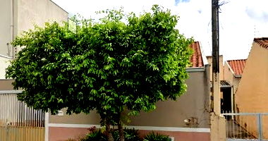 Casa com 3 quartos, 3 banheiros, 136m² área total, 120m² construída