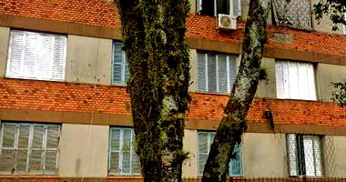 Apartamento Zona Sul - Condomínio Vila Maria