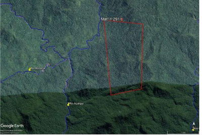 Terreno rural de 242 hectares, sem benfeitorias, desocupado