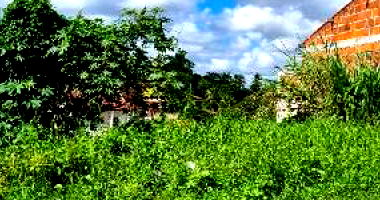 Terreno 141,4m² - Nossa Senhora do Socorro/SE