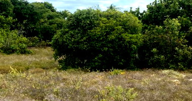 Terreno de 300 m² no Loteamento Vila Rica