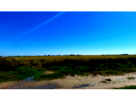 Sítio com 79,72 hectares e benfeitorias em Santa Vitória do Palmar