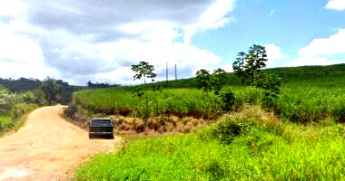 Engenho Cachoeira com 10.203 m² área total, rural, desocupado
