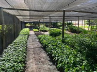 3 Imóveis Residenciais, Comerciais e Rurais em Posse/GO