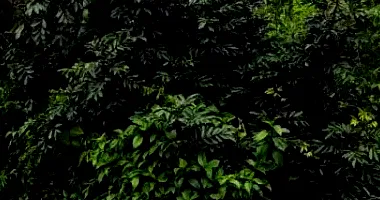 Terreno Amplo em Portão/RS - 1.050m² na RS 240