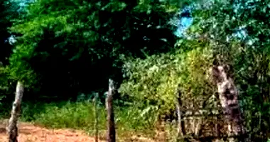 Terreno amplo em Areia Branca - P da Serra