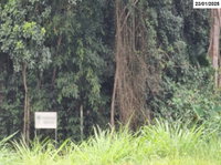 Terreno com 3.584,84m² em Criciúma/SC
