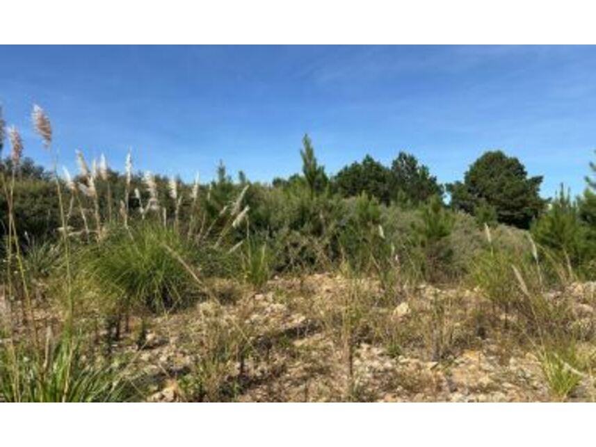 Terreno em Leilão com 7.510,99m² em Caxias do Sul