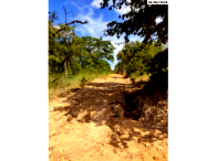 Fazenda Canaã IV com 237,50 hectares, área rural, sem benfeitorias