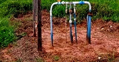 Fazenda com Plantação de Algodão e Edificação Rural