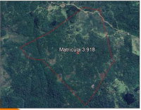 Terreno rural de 196,98 hectares