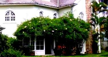 Casa com 404,19m² no JD Virginia Bianca
