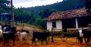 Fazenda com 396,05ha em Crisólita/MG