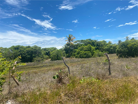 Terreno de 300m² em Loteamento com Potencial de Valorização