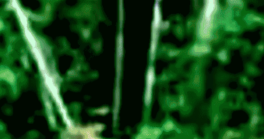 Terreno Amplo em Timbó/SC com 5.533m²