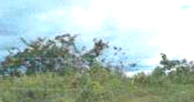 Área Rural com Casa Residencial em Sítio Novo