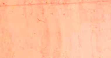 Casa Ocupada com 26,88m² em Montes Claros/MG