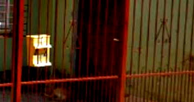 Casa Ocupada com 111m² Construída em Porto Alegre/RS