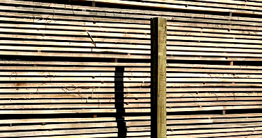 55m³ de Madeira de Eucalipto In Natura - Pranchas Secas