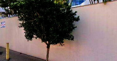 Vaga de Garagem Privativa - Edifício Costa Verde - São Bernardo do Campo