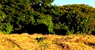Terreno no Loteamento Solar dos Lagos - São Lourenço/MG