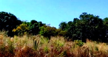 Terreno 556 m² no Parque Flamboyant