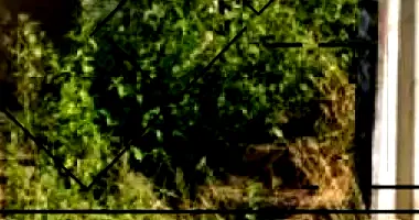 Casa com 2 quartos em Carpina/PE