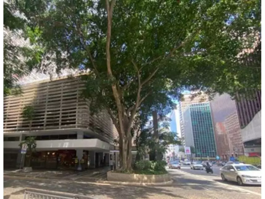 Sala Comercial Ampla em Leilão - Avenida Paulista
