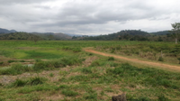 Sítio Rural com 58,105 hectares em Pocrane - MG